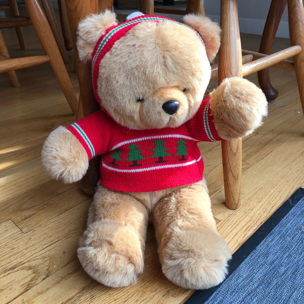 Sprinkles the Christmas Hooded Sweater Bear 1986 Vintage Collectible